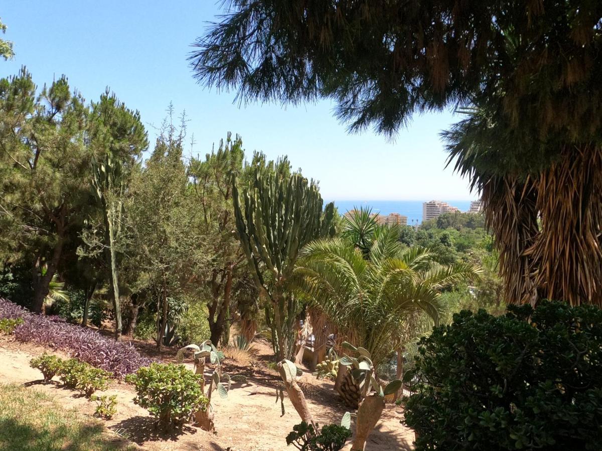 Agata Holiday Benalmádena Dış mekan fotoğraf